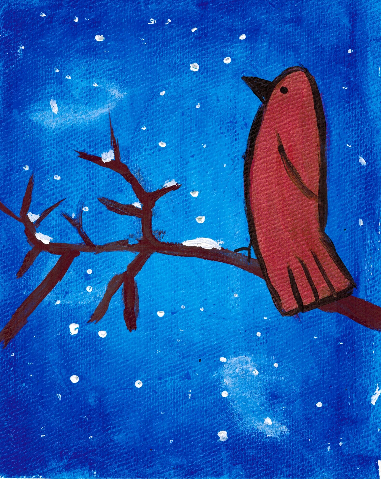 Cardinal in Winter by Sadie Ankrom